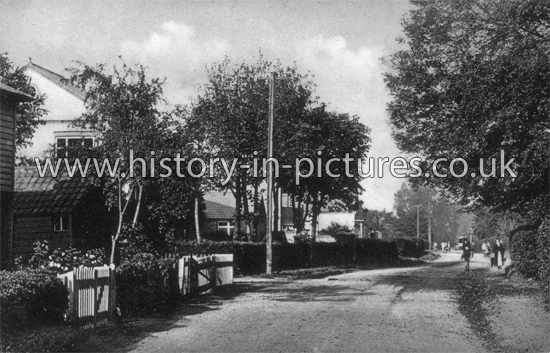 Rectory Road, Hadleigh, Essex. c.1910